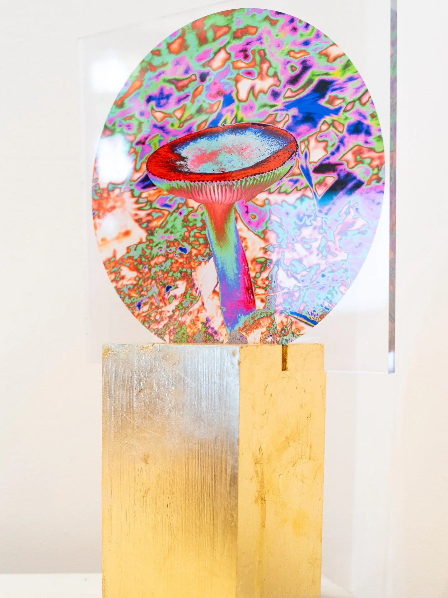 Die Sommerpause ist vorbei! Ab morgen ist die Galerie wieder ge&ouml;ffnet und wir freuen uns darauf, Sie willkommen zu hei&szlig;en 🤗

Es ist die letzte Woche, um die Ausstellung von Marina Herrmann &bdquo;Es m&ouml;ge gut sein&ldquo; zu sehen &nda