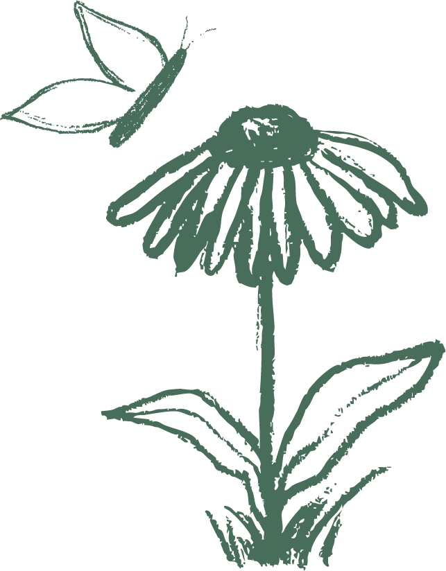 A hand-sketched illustration of a flower with a butterfly nearby.