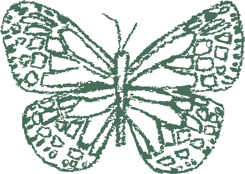 A hand-sketched illustration of a monarch butterfly representing a state of flourish.