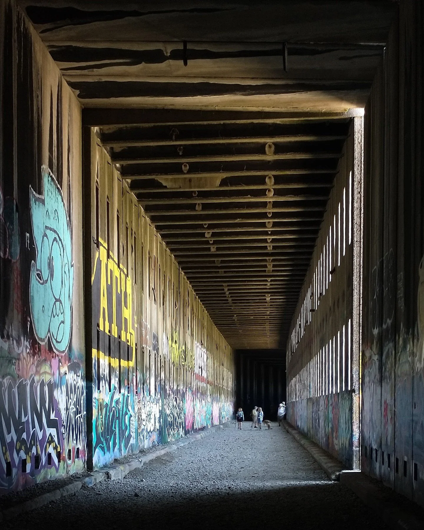 Very cool hike last week through the old Donner Train Tunnels! I've always wanted to check them out. Originally built in the 1850s, the current Amtrak still uses portions of the original route. Obviously, this section is left to hikers and graffiti a