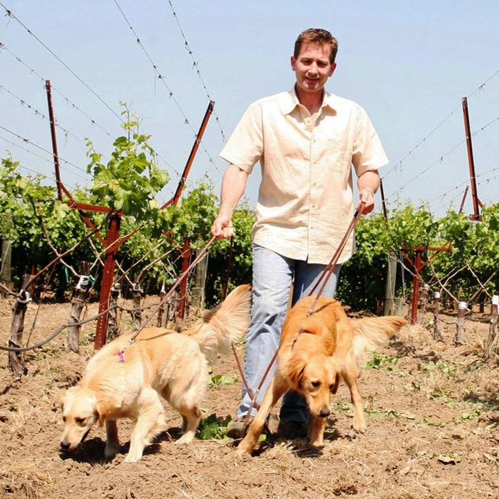 Honig4sniffer-dogs.jpg