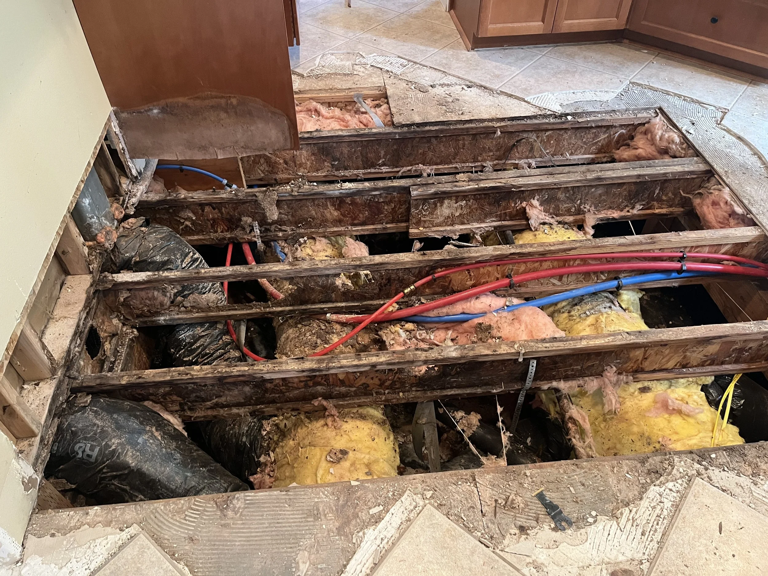 An image of The Float House