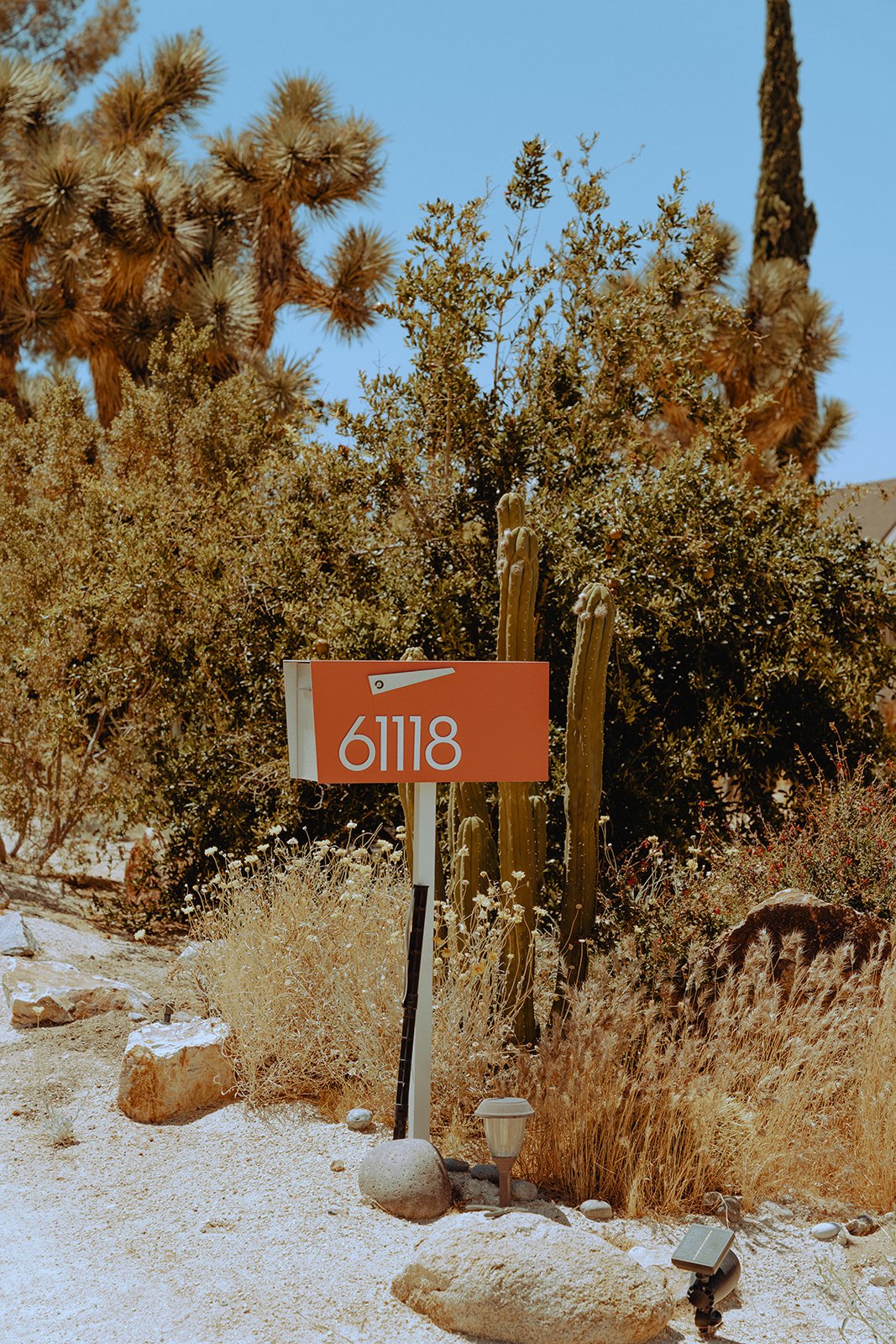 DSC08190.jpg