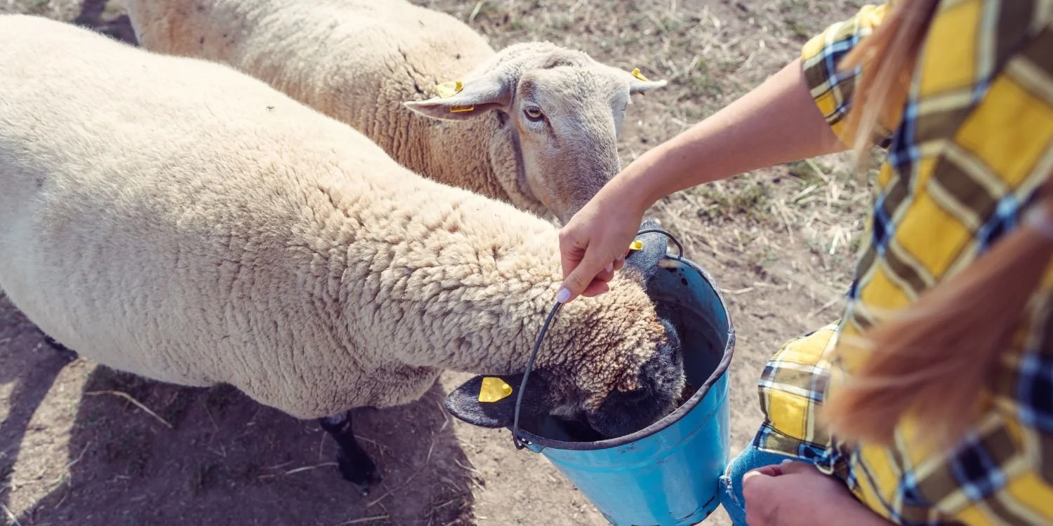Farm Supplies for Mt. Duneed, Bellbrae & Anglesea Properties