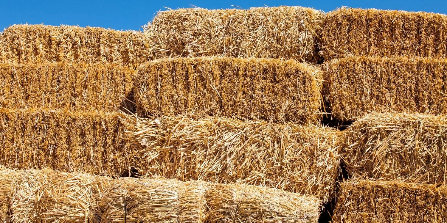 Farm Supplies Torquay: The Complete Guide