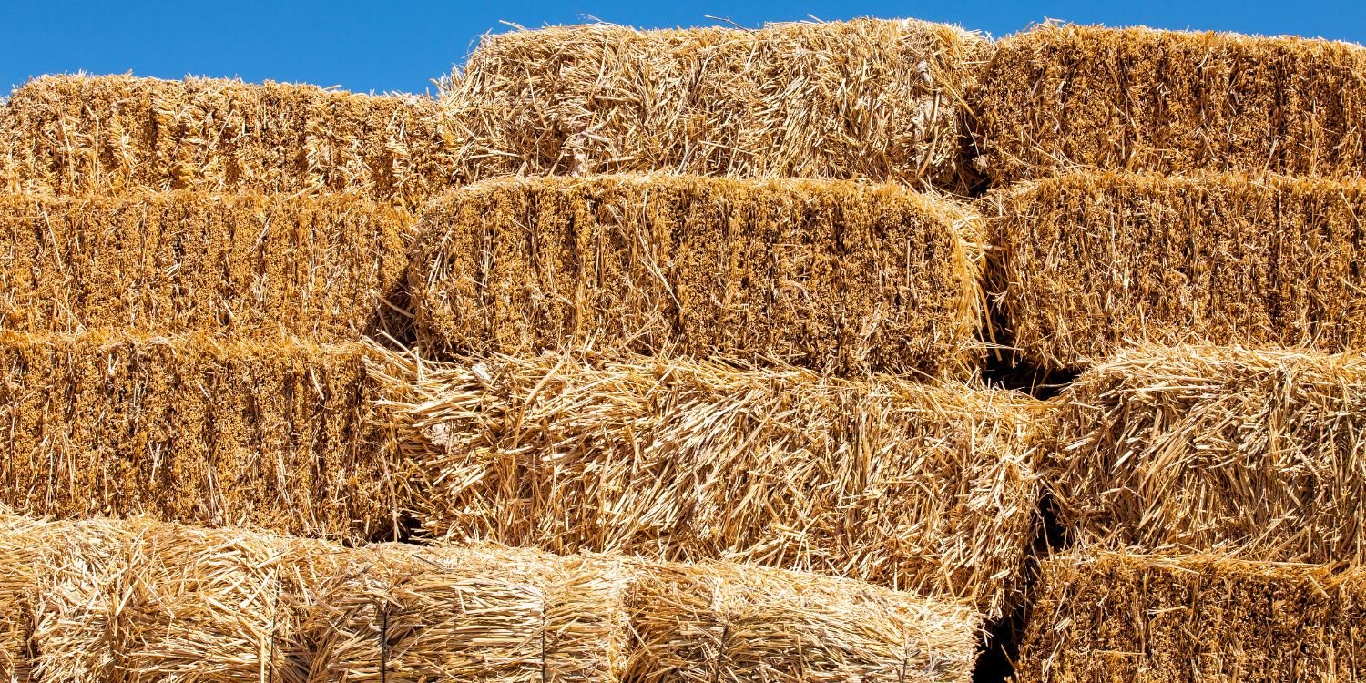 Farm Supplies Torquay