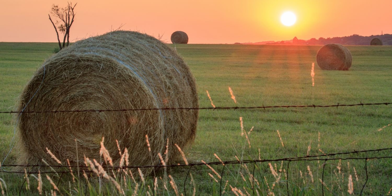 Find the right hay for your horse at Surfcoast Rural in Torquay