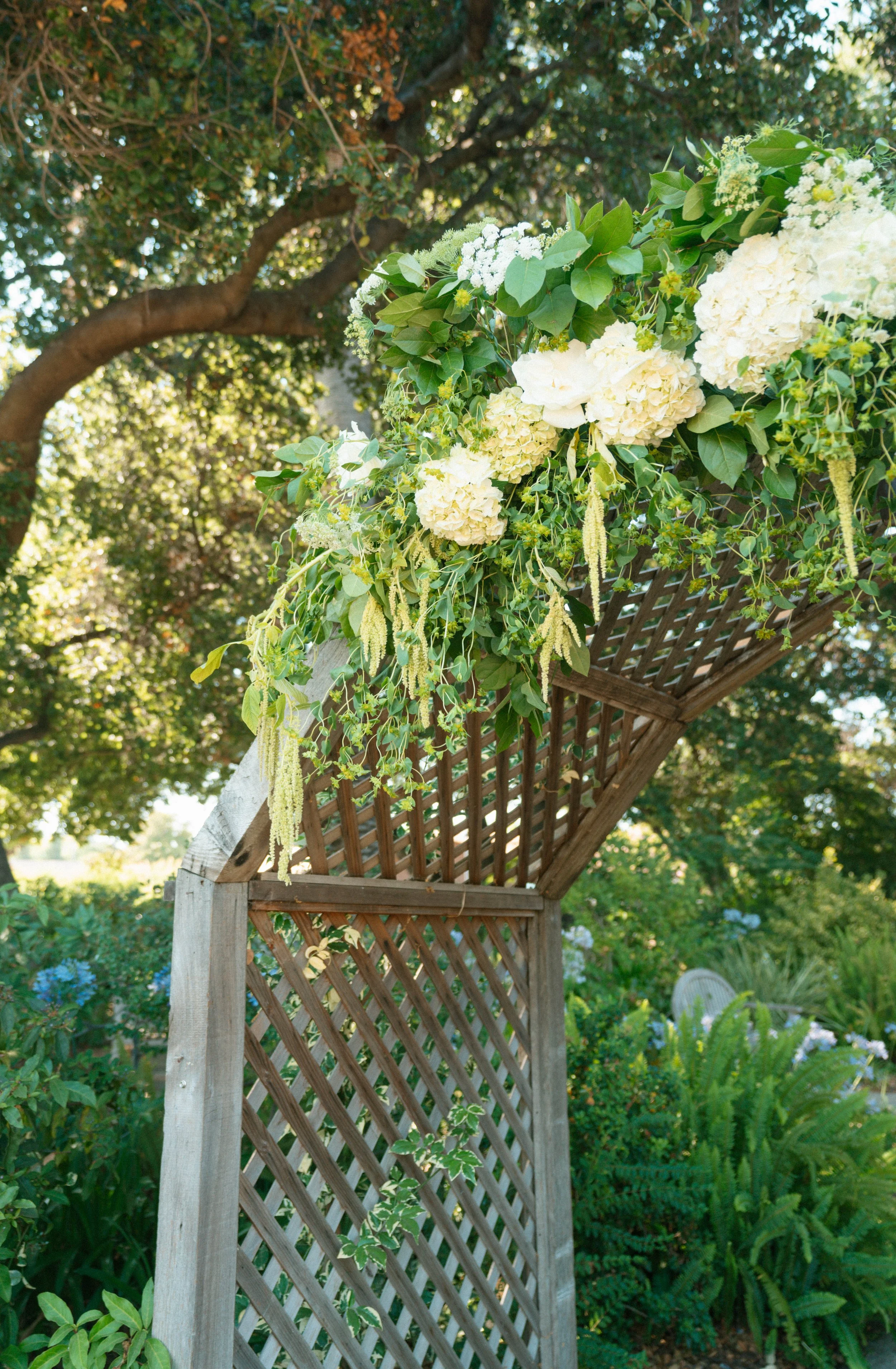 mon pat janelle ingram 2024-4.jpg