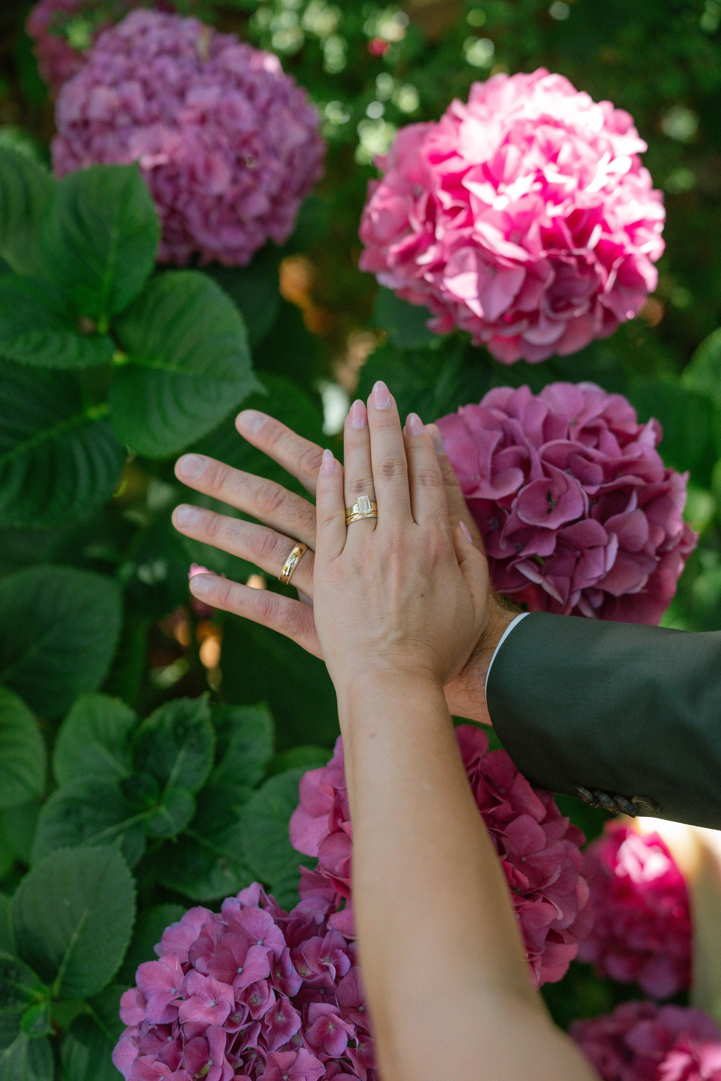janelleingramphoto-a+a-33.jpg