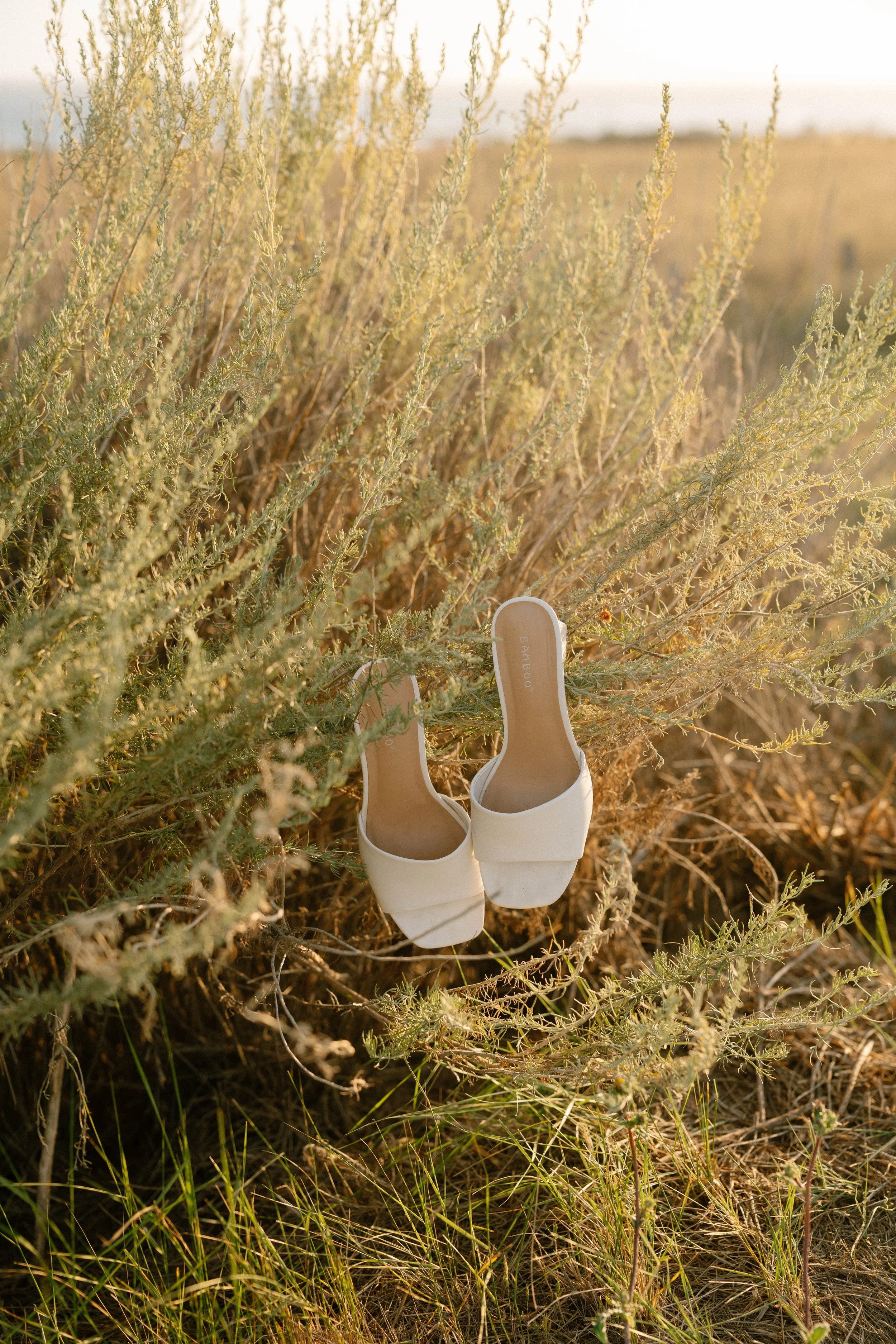 janelleingramphoto-cass-josh-88.jpg