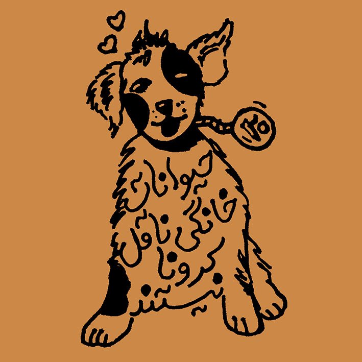 day 20