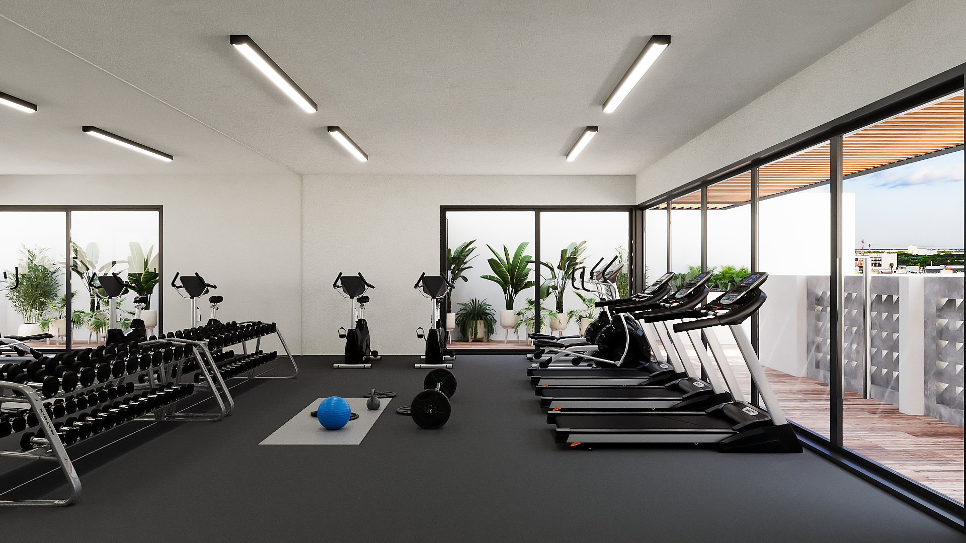 06 GYM.jpg