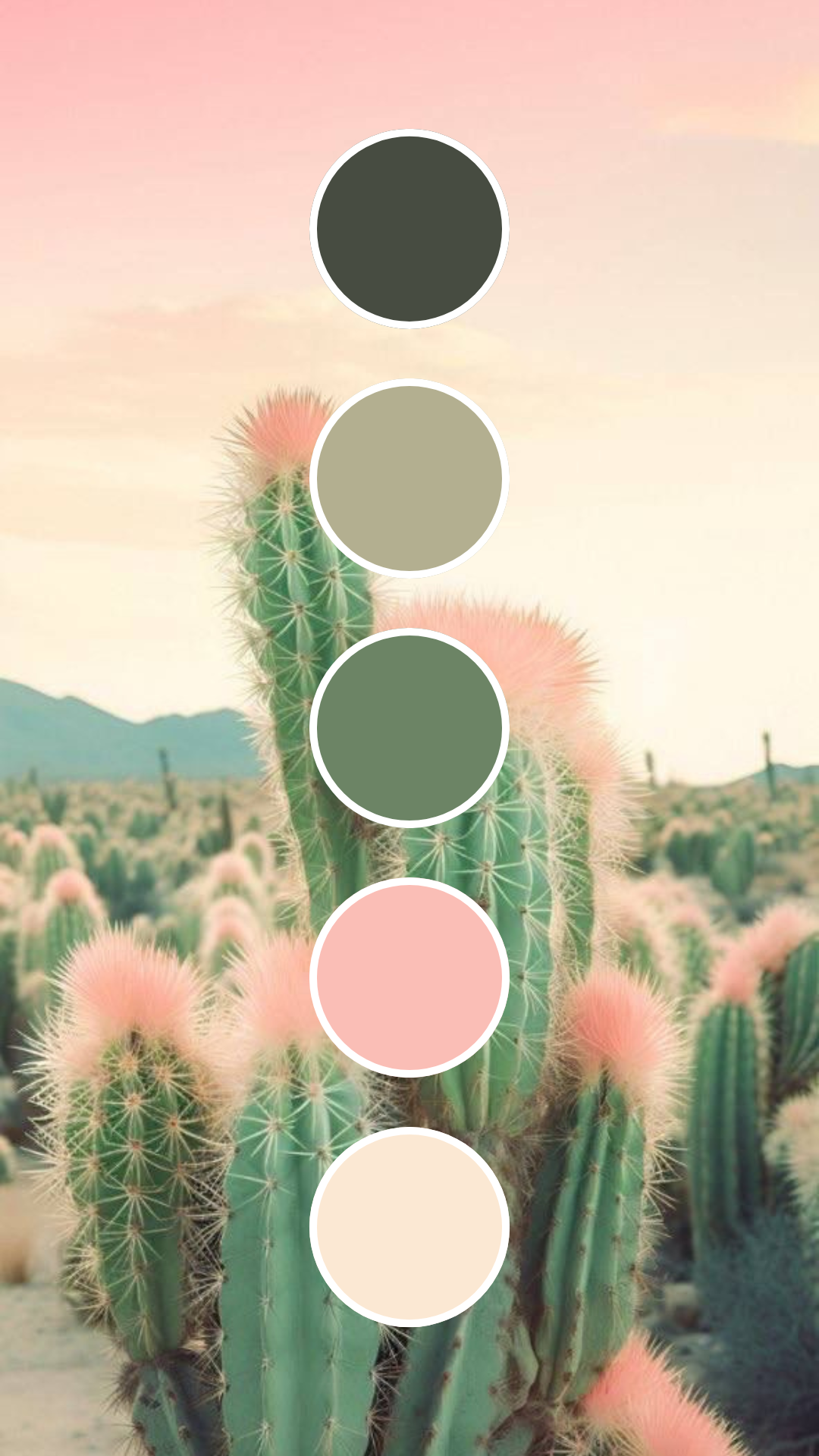 pink-color-palette-18.png