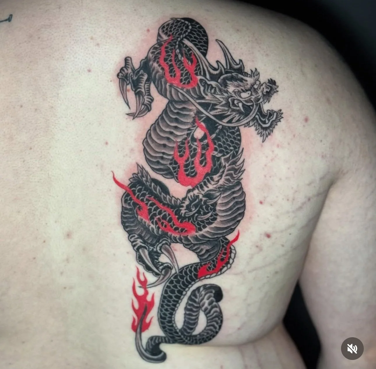 Screenshot 2025-09-02 at 3.30.40 PM.jpeg