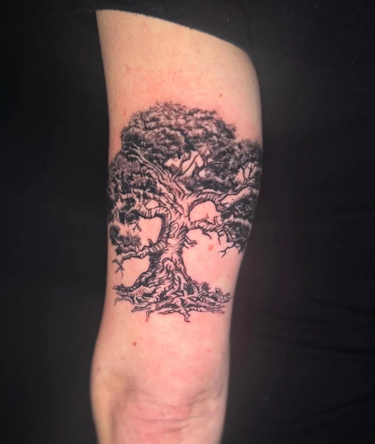 Screenshot 2025-09-02 at 3.29.25 PM.jpeg