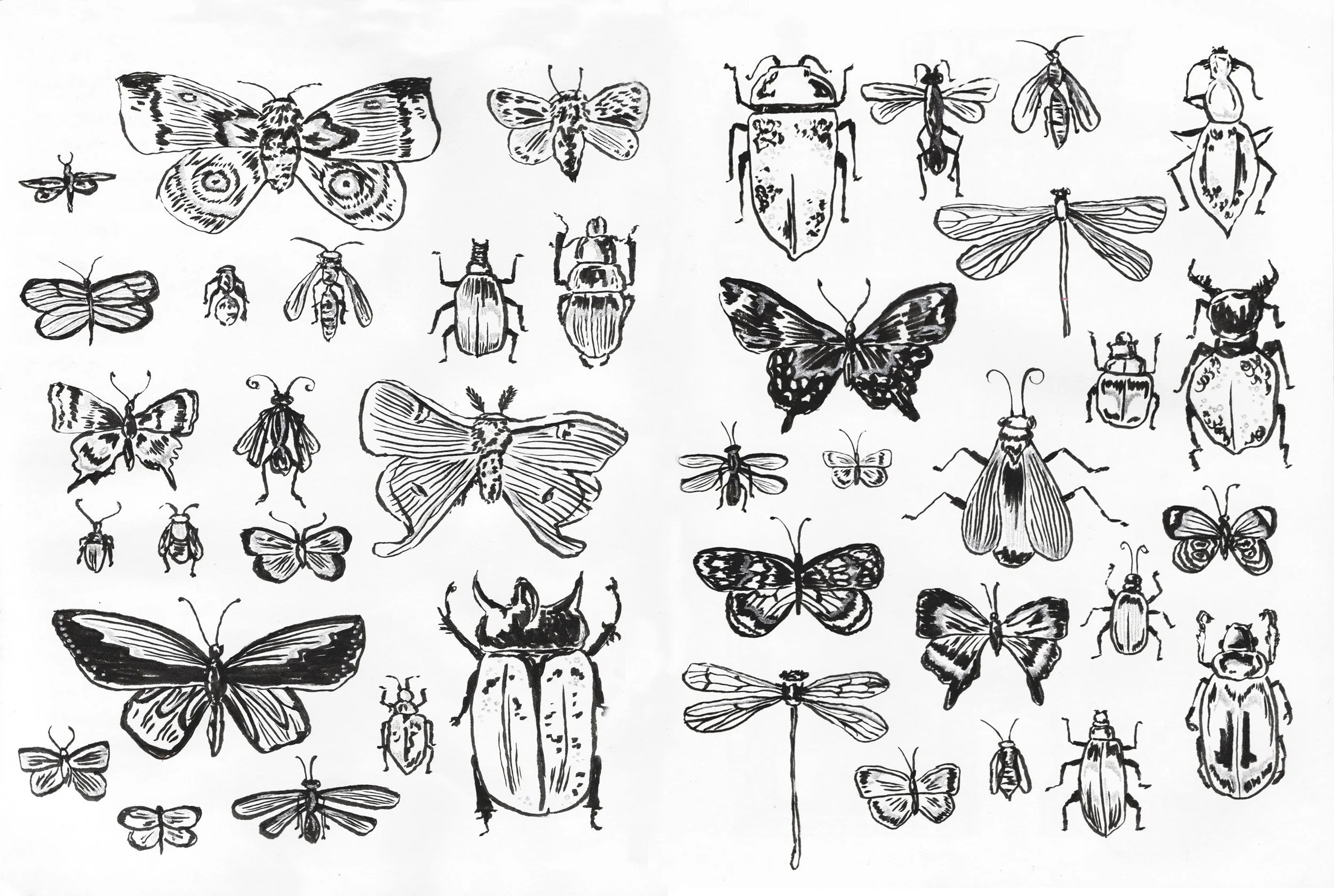 Final 02 bugs.jpg