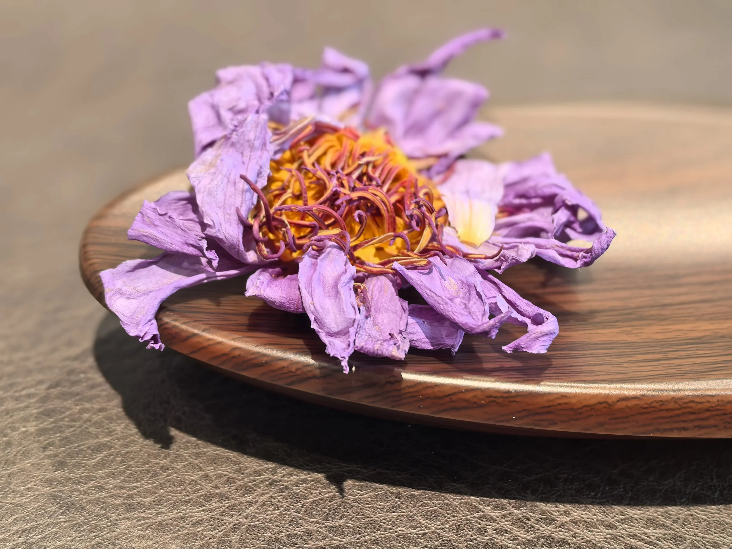 A dried Blue Lotus flower on a round wooden plate.
