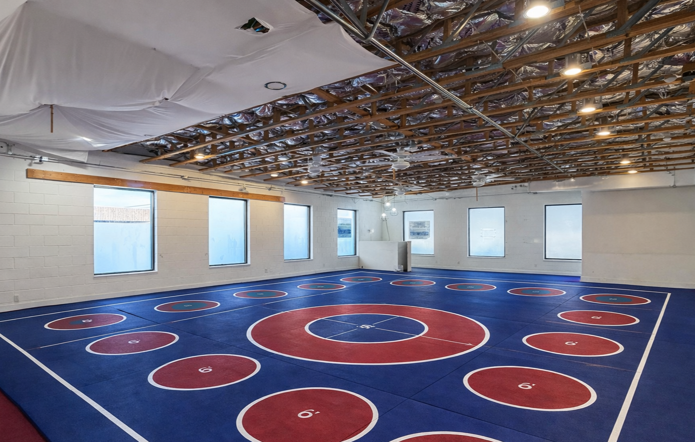 An indoor basketball court with a blue floor, red circles, and white lines, under a ceiling with exposed wooden beams and insulation. The walls have several windows, and there are ceiling fans and lights.