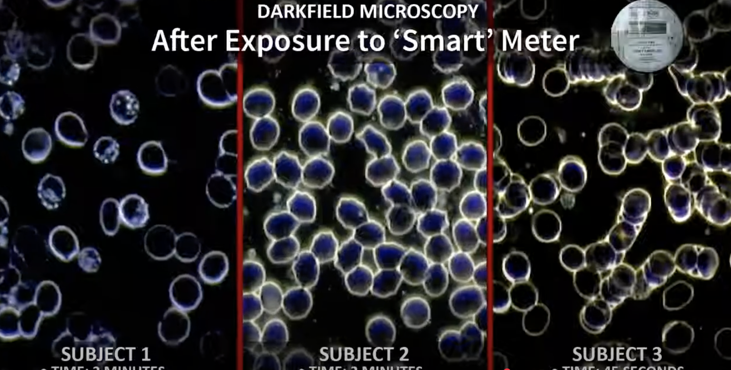 Dark Field Microscopy sees damage