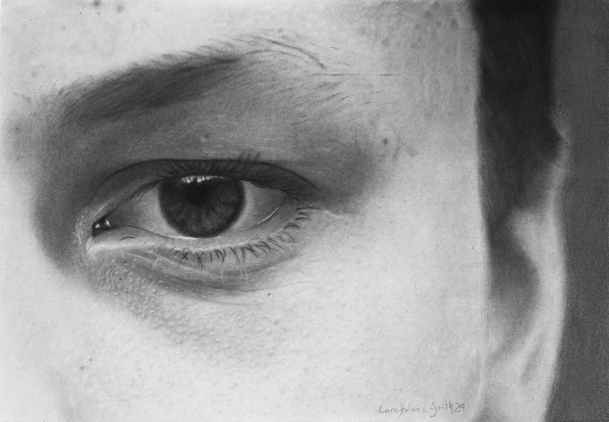 Title: "Ludvik´s øye"
Size: 30 x 21 cm Medium: Charcoal and pastel. Paper: Hahnemuhle Nostalgie. Duration: 77 hours.
