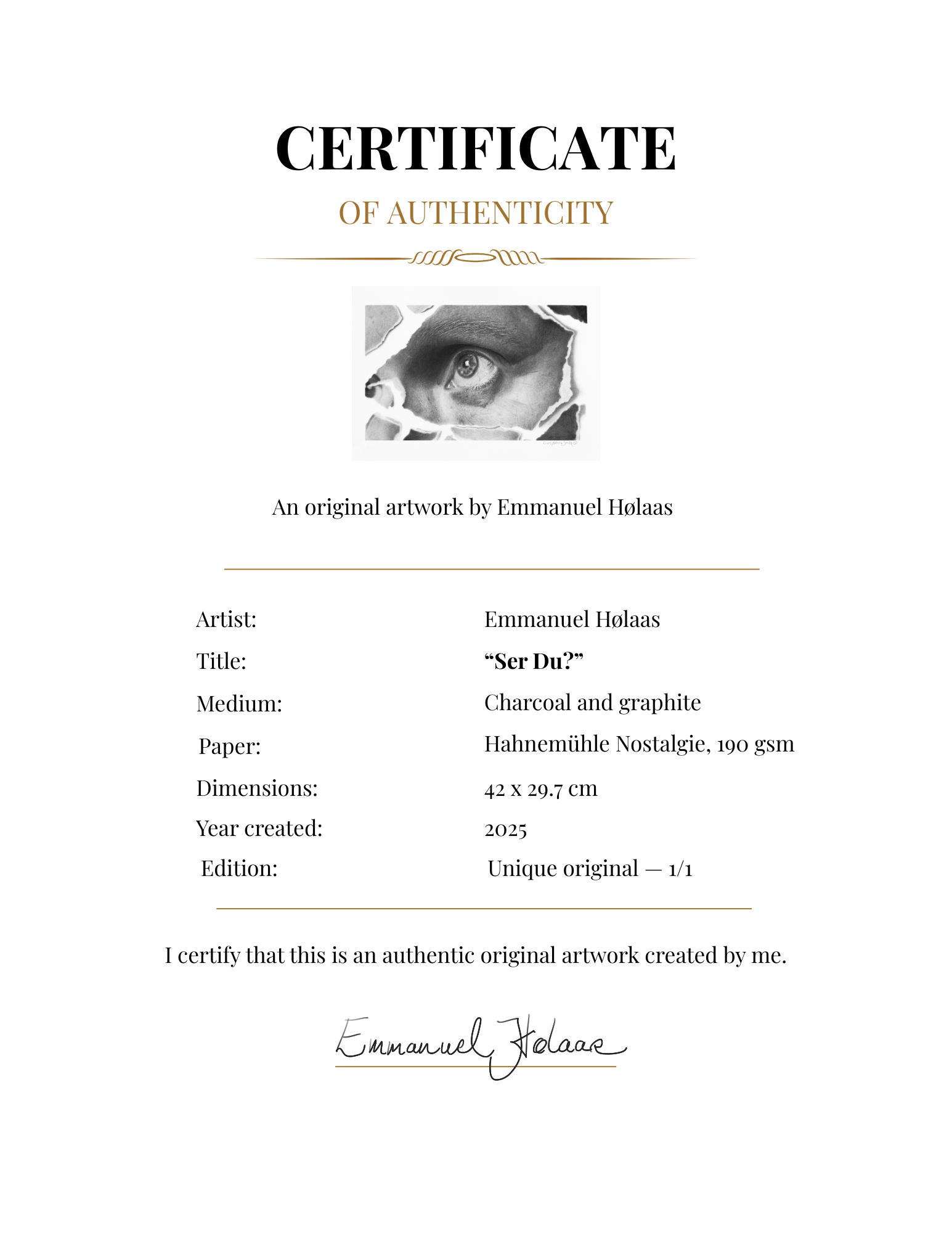 Gold_and_White_Modern_Certificate_of_Appreciation_Document 2.png