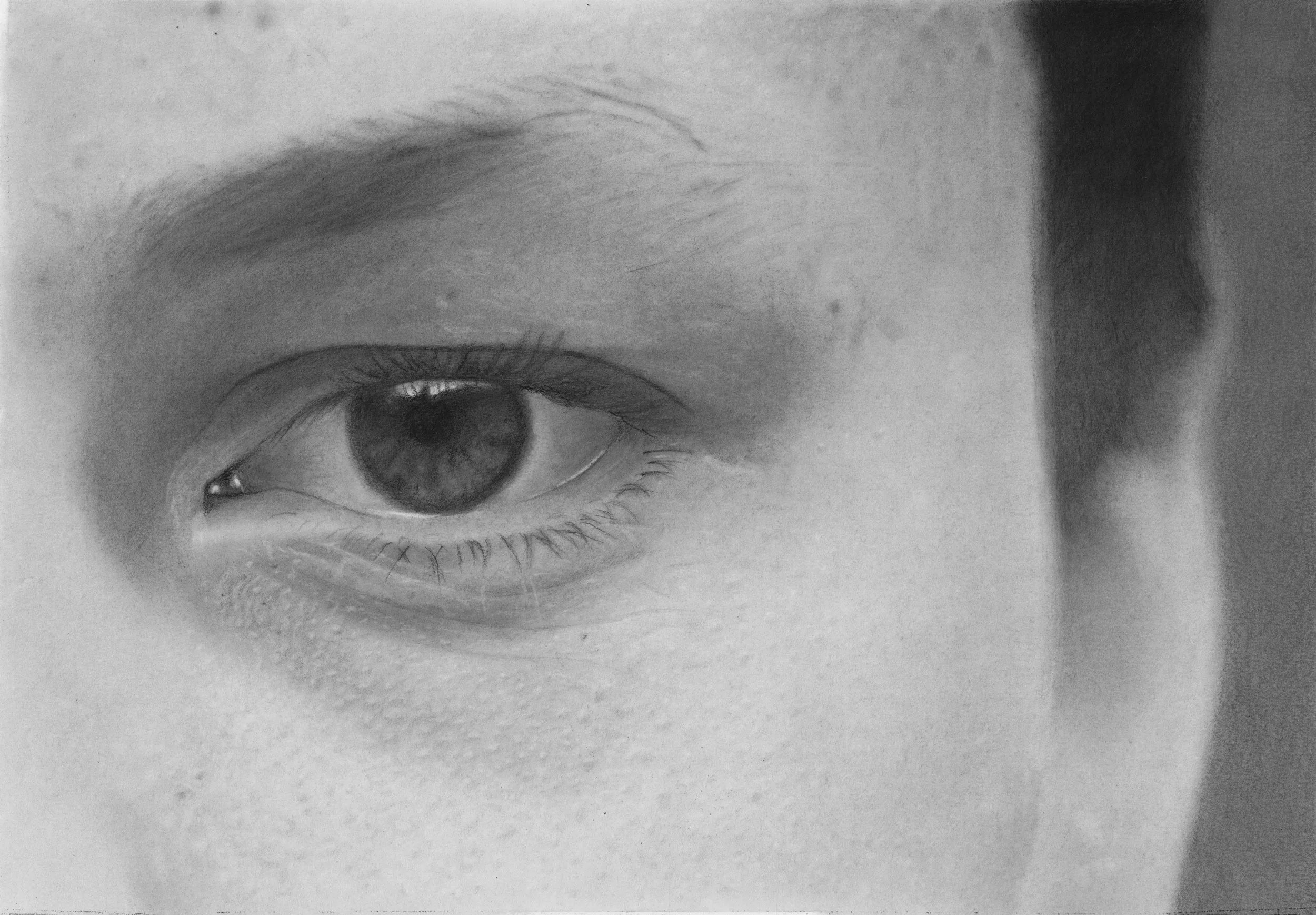 Title: "Ludvik´s øye" Size: 29 x 21 cm. Medium: Charcoal and pastel. Paper: Hahnemuhle Nostalgie. Duration: 77 hours. Year: 2024