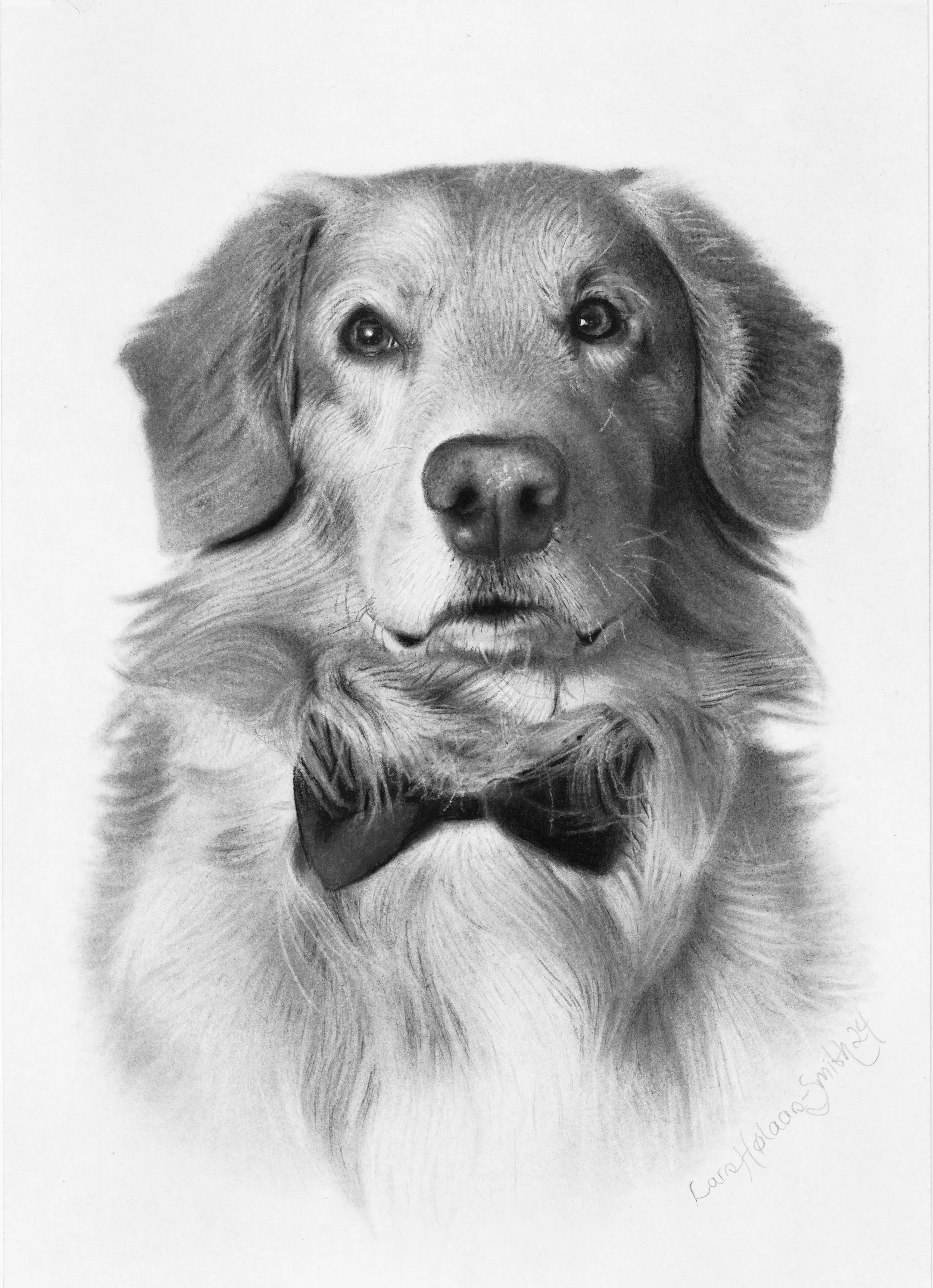 Title: "Louie" 
Size: 21 x 30 cm. Medium: Charcoal and pastel. Paper: Hahnemulhe Nostalgie. Duration: 100 hours.