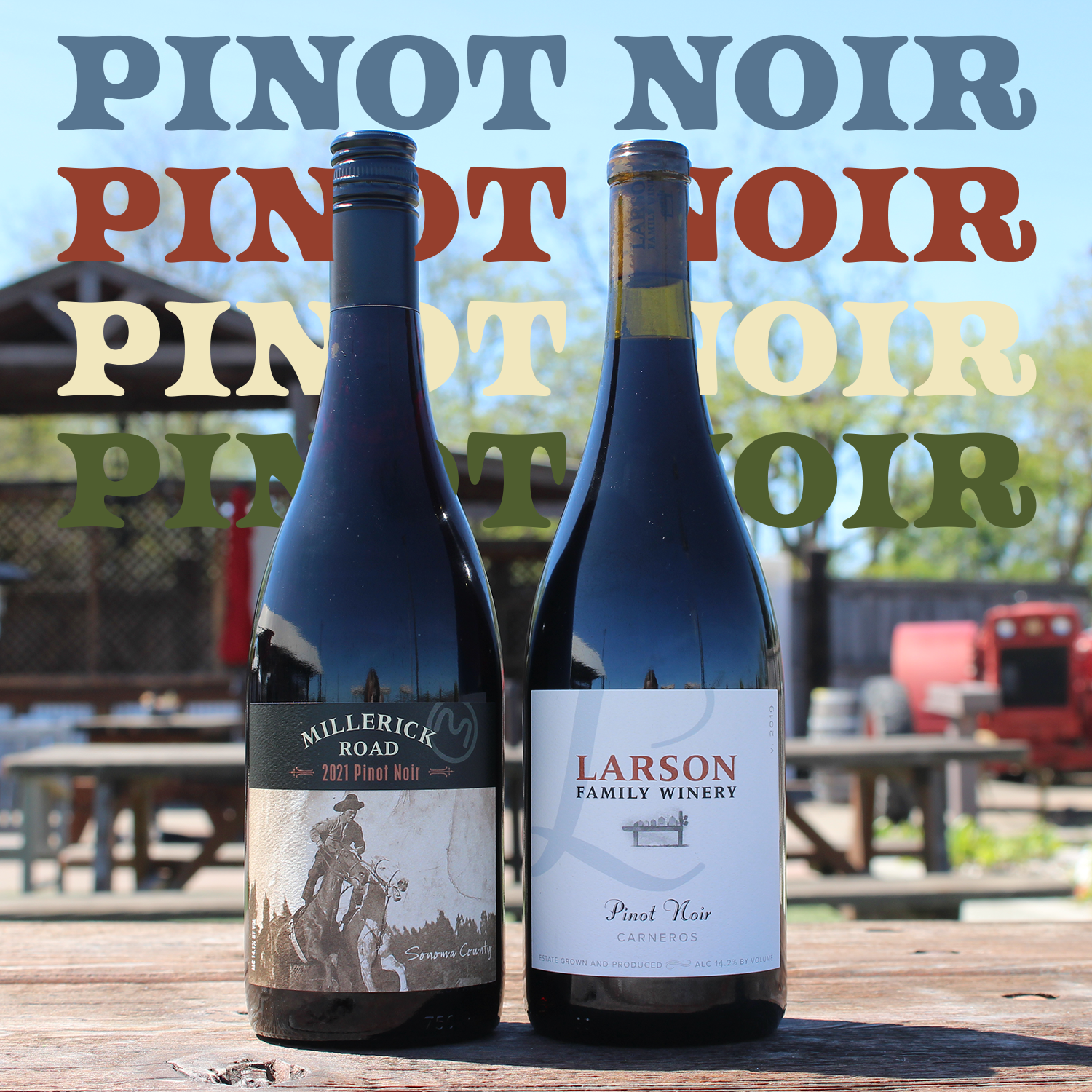 pinot noir.png