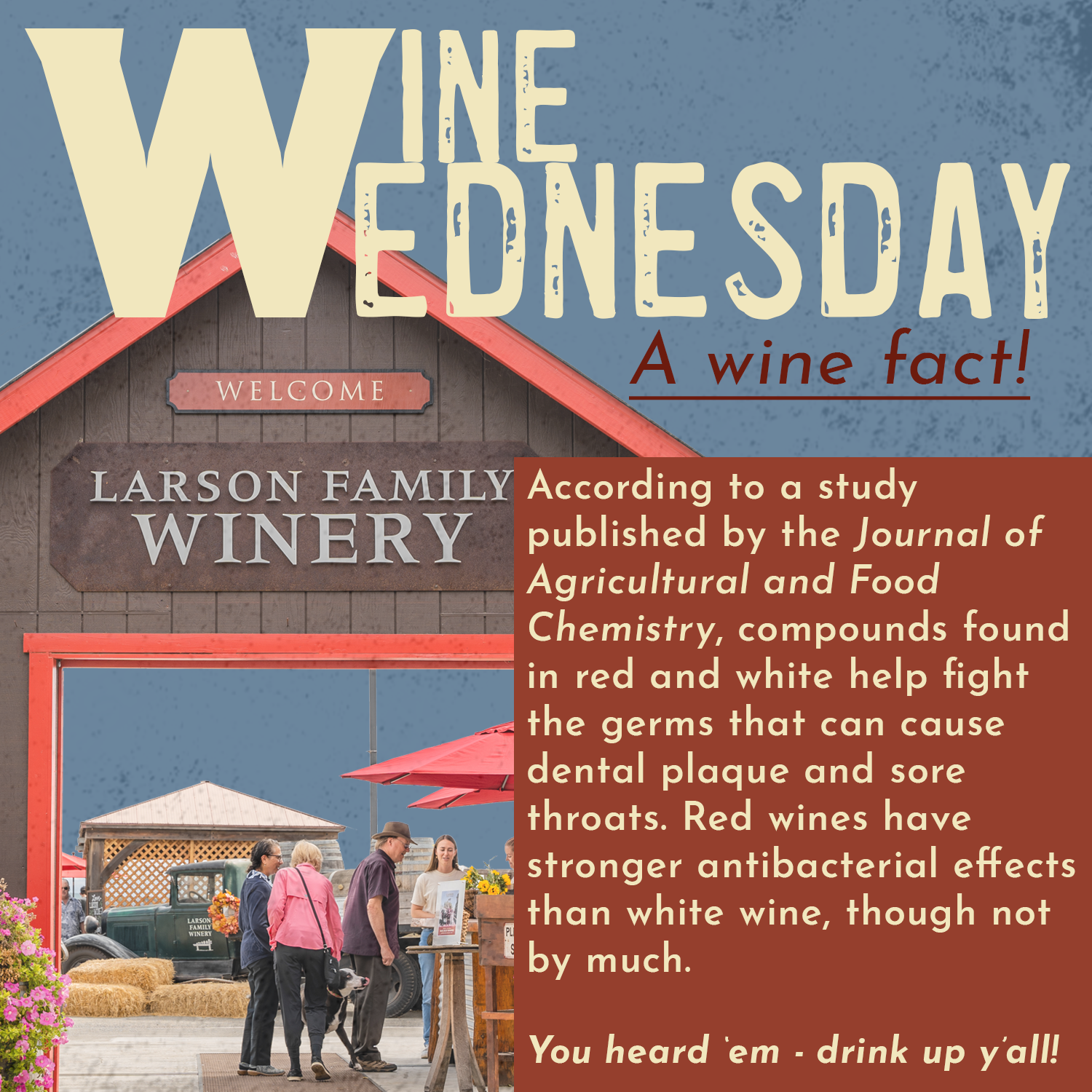 Wine Wednesday fact graphic - red title.png