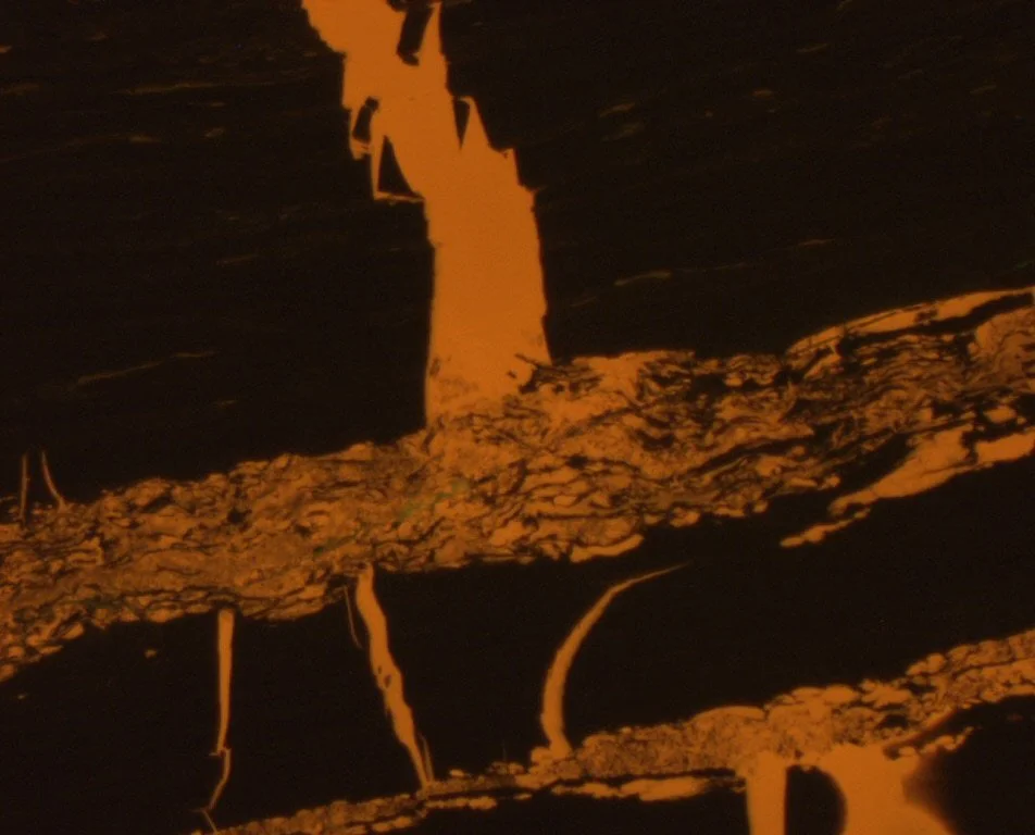 Exsudatinite filling fractures. It is a indicator of oil generation in coal. In this case, exsudatinite is being generated from resinites. Laura Basin, Australia. Photomicrograph taken in fluorescent mode.