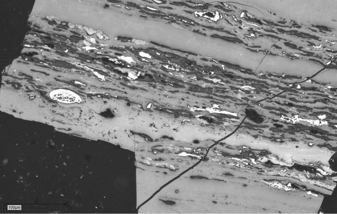 PS_1020_14 Cropped.JPG