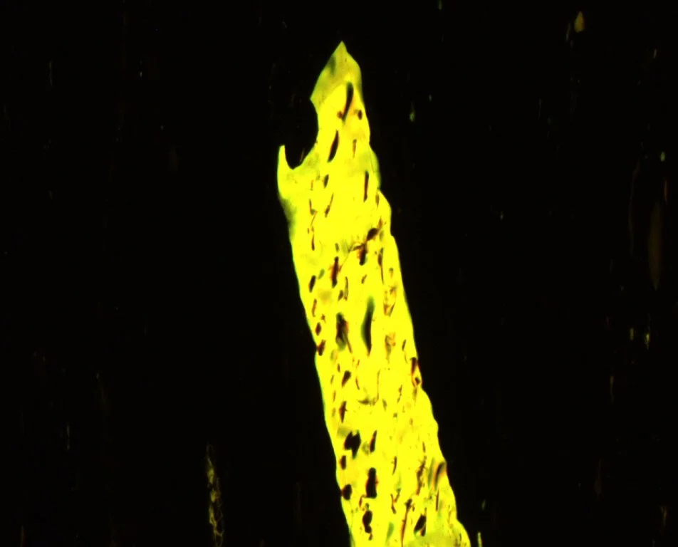 PEN-9-043 Block Pict 10 a Resinite 20x fl.JPG