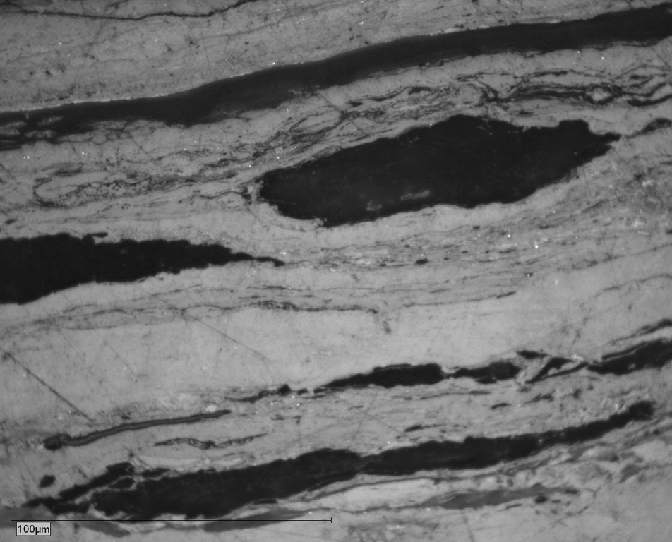 PEN-9-043 Pict 05 Resinite and cutinite.JPG