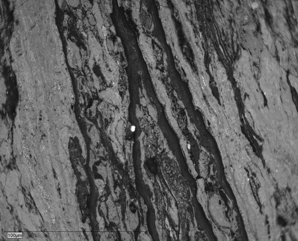 PEN9-014 Pict 05 cut BW.JPG