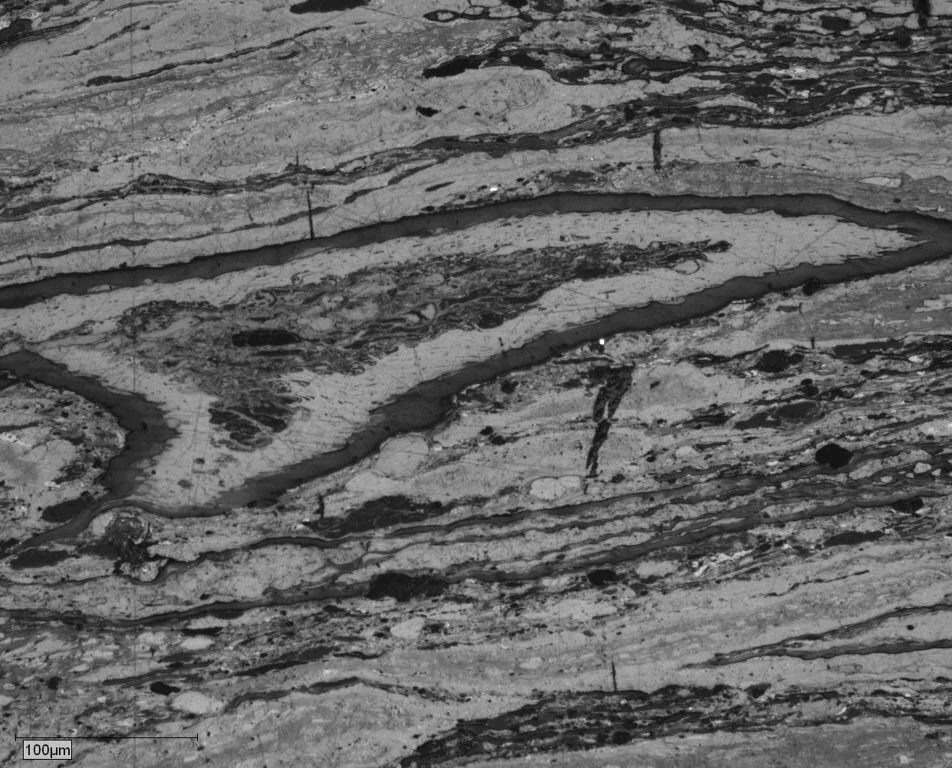 PEN9-034 Pict 04 cut BW.JPG