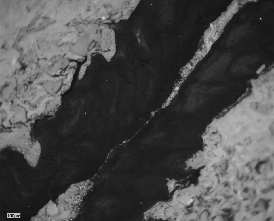 Penh-9-024 Pict 10 cutinite.JPG