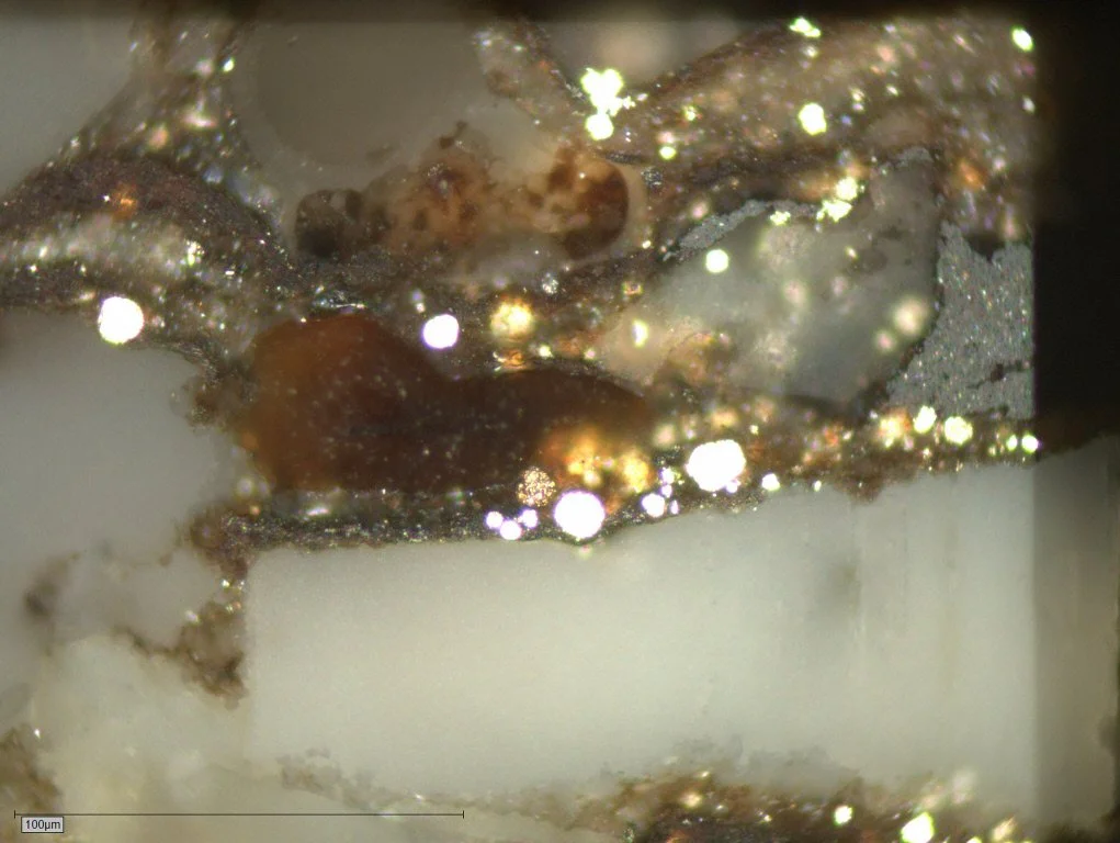 Ob2-007 Pict 08 Tasmanite.JPG