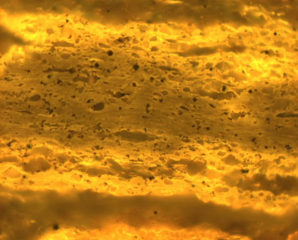 Sample 11 Pict 04 lamalginite FLUO.JPG