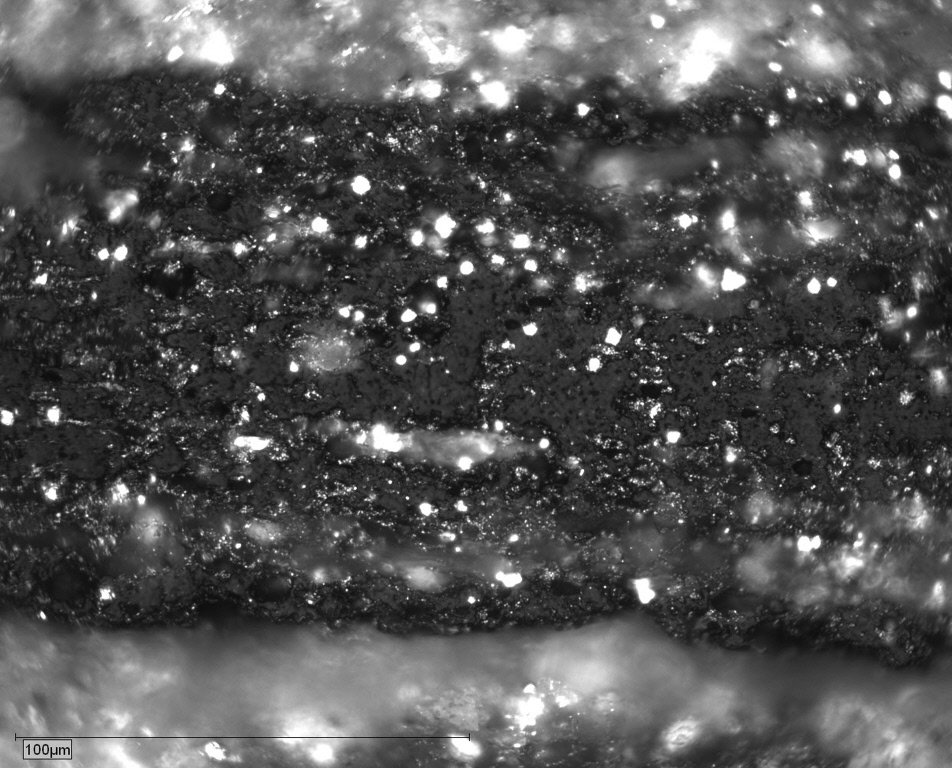 Sample 11 Pict 04 lamalginite.JPG