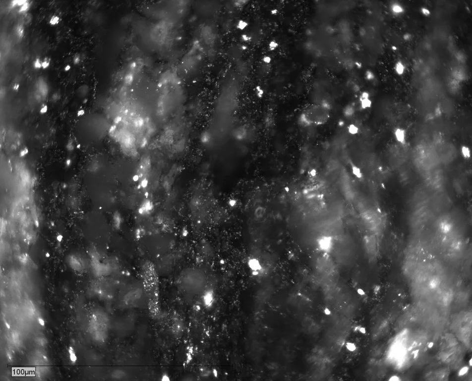 Sample 12 Pict 11 lamalginite.JPG