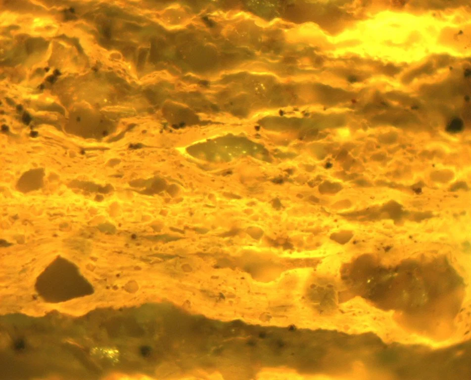 Sample 15 Pict 06 lamalginite_1 FLUO.JPG