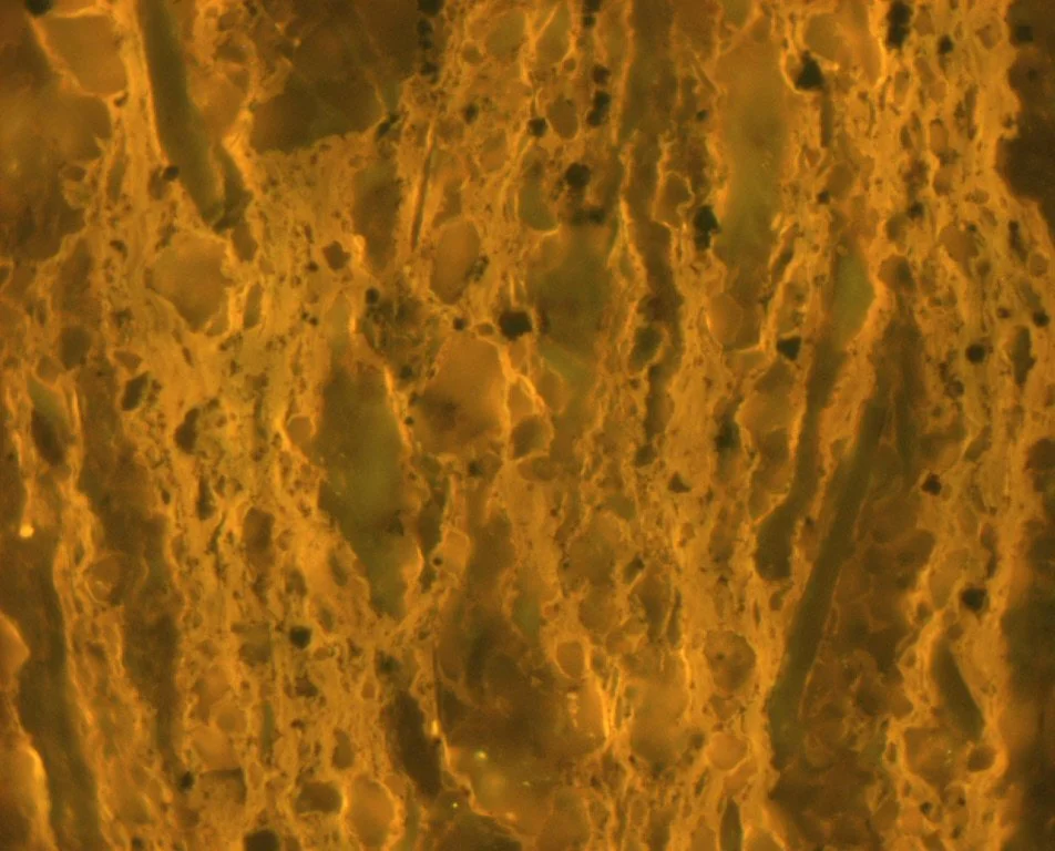 Sample 16 Pict 09 lamalginite FLUO.JPG