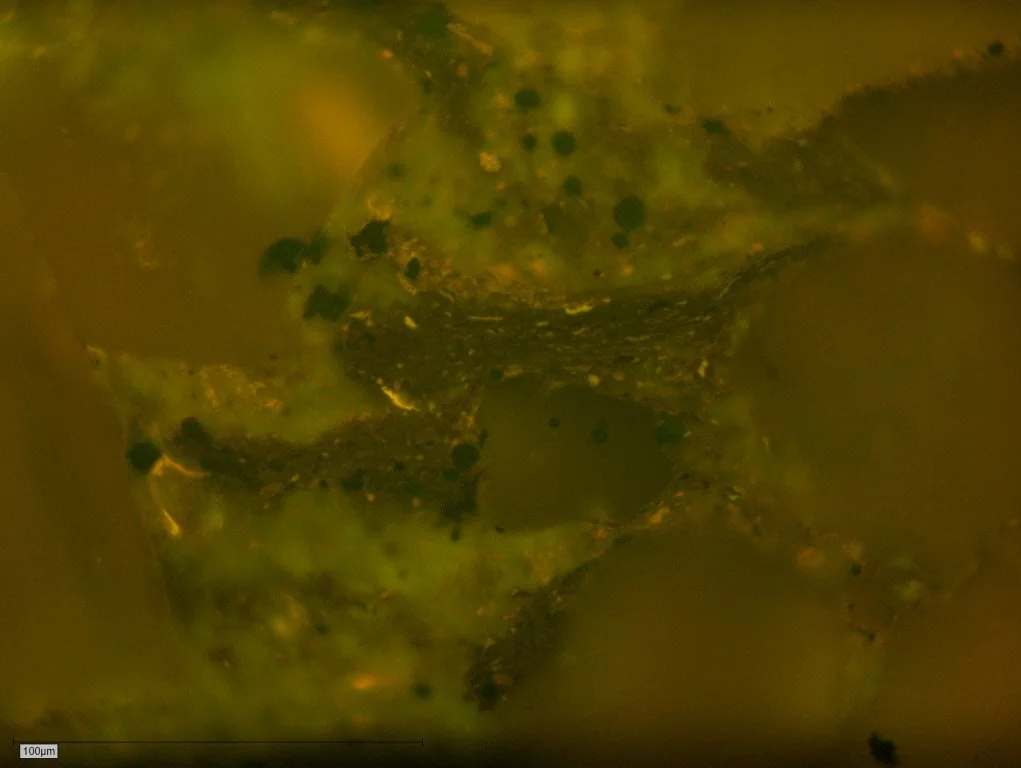 Ob2-007 Pict 03 Bit fl.JPG