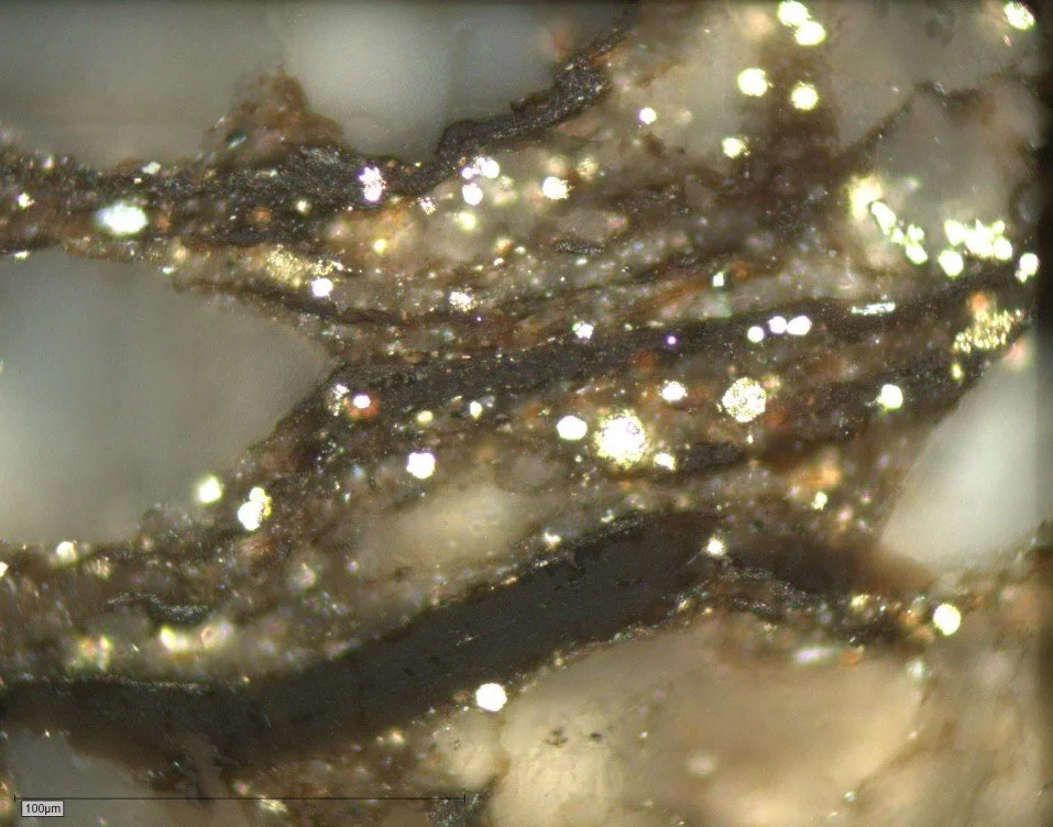 Ob2-007 Pict 04 bit bone.JPG