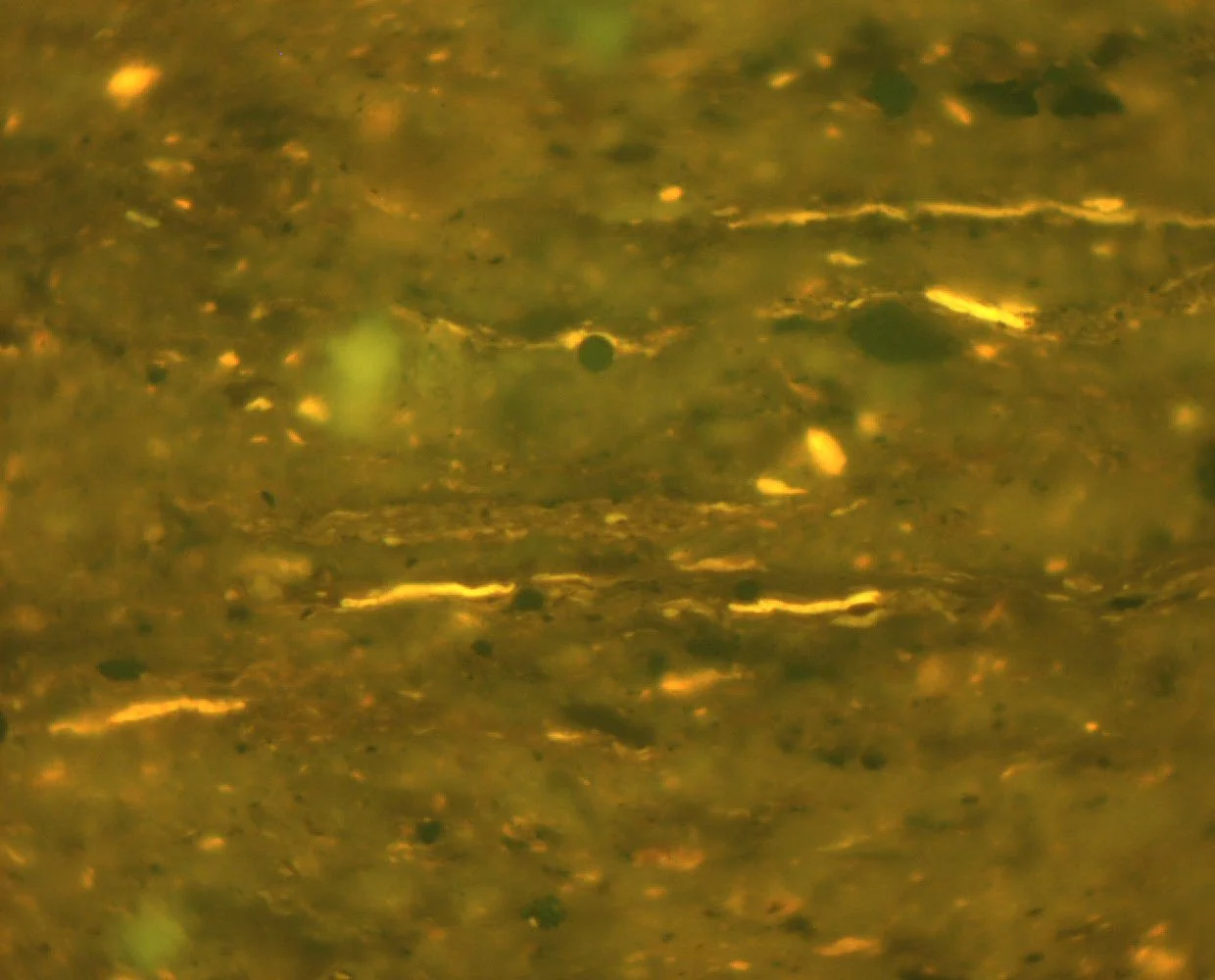 Pict 01 bit colour fl.JPG