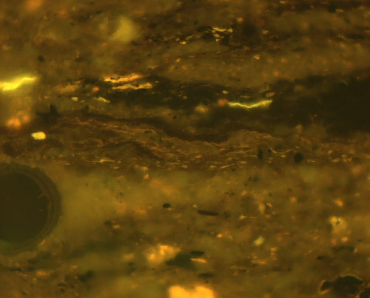 Sample 1 Pict 42 bit colour fl.JPG