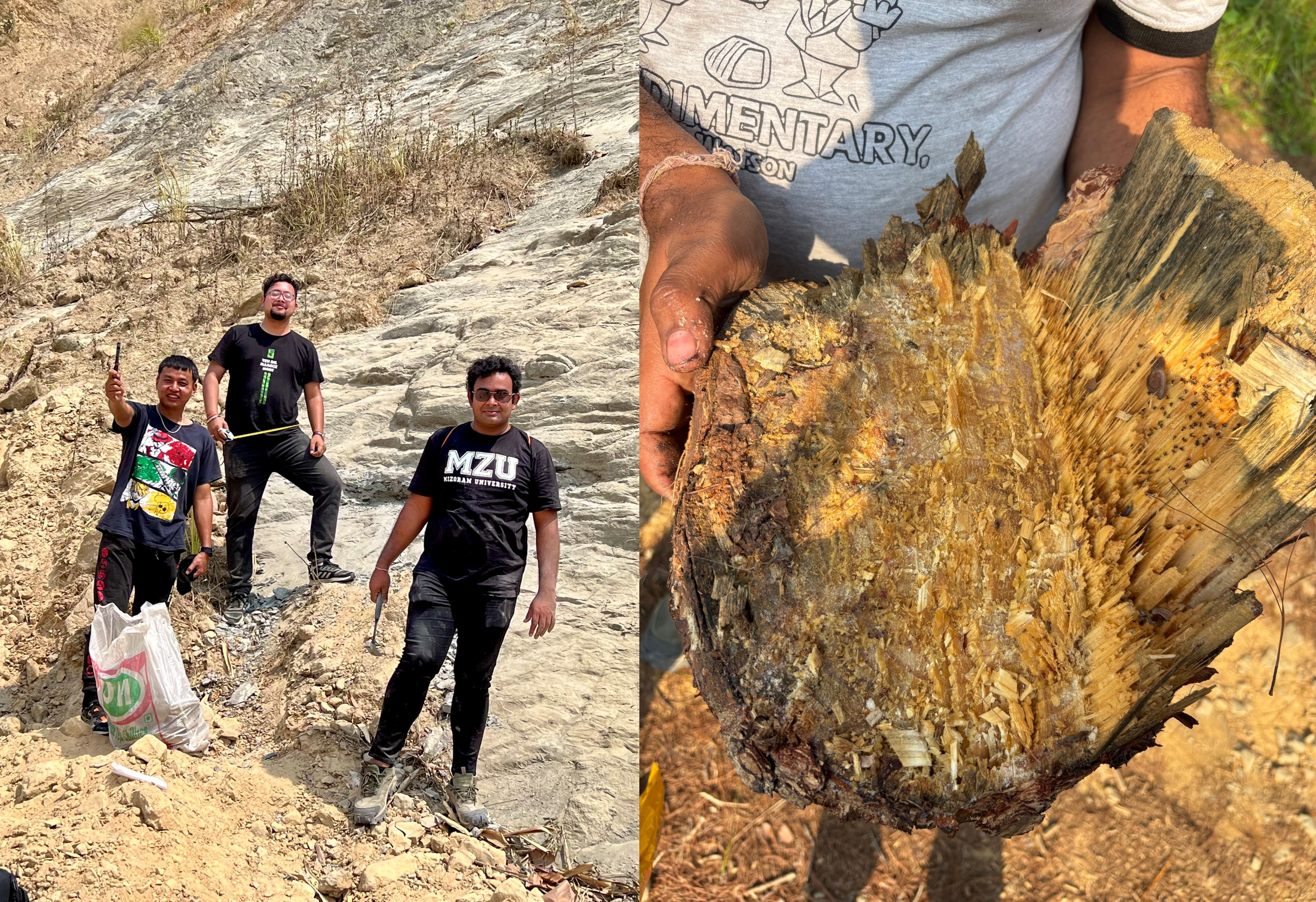 Guest Series - 03 - Aromatic Biomarkers as Evidence of Late Palaeocene Tropical Rainforests in Southern India by Santanu Ghosh