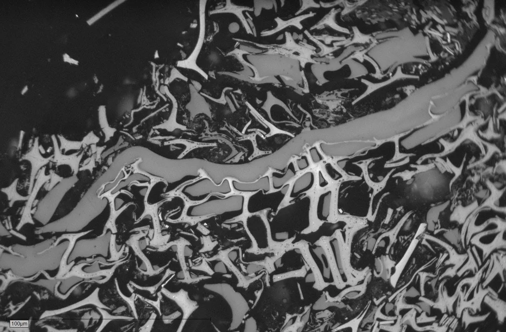 1_C_Fusain_A Pict 25 50x.JPG