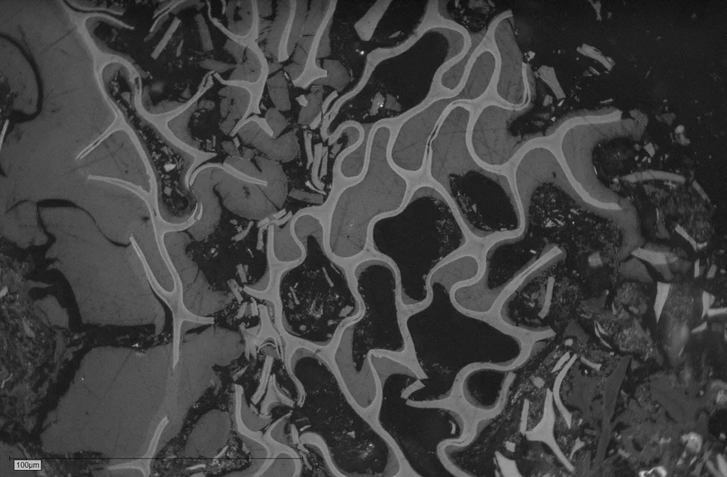 1-I-Fusain-A Pict 200 50x e.JPG