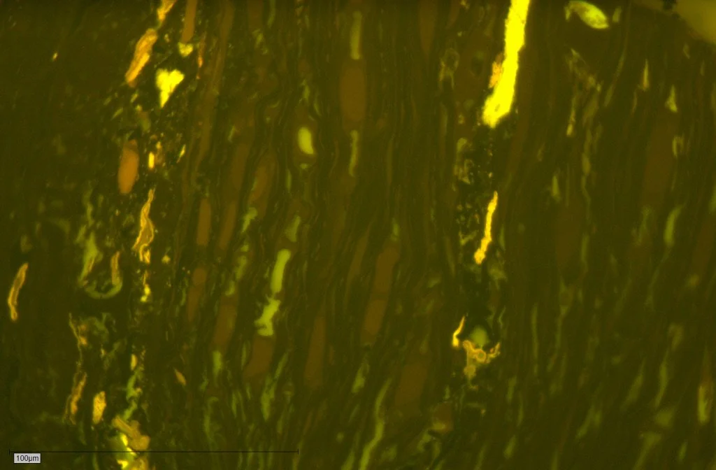 1_A_fusain_A Pict 62 50x fl.JPG